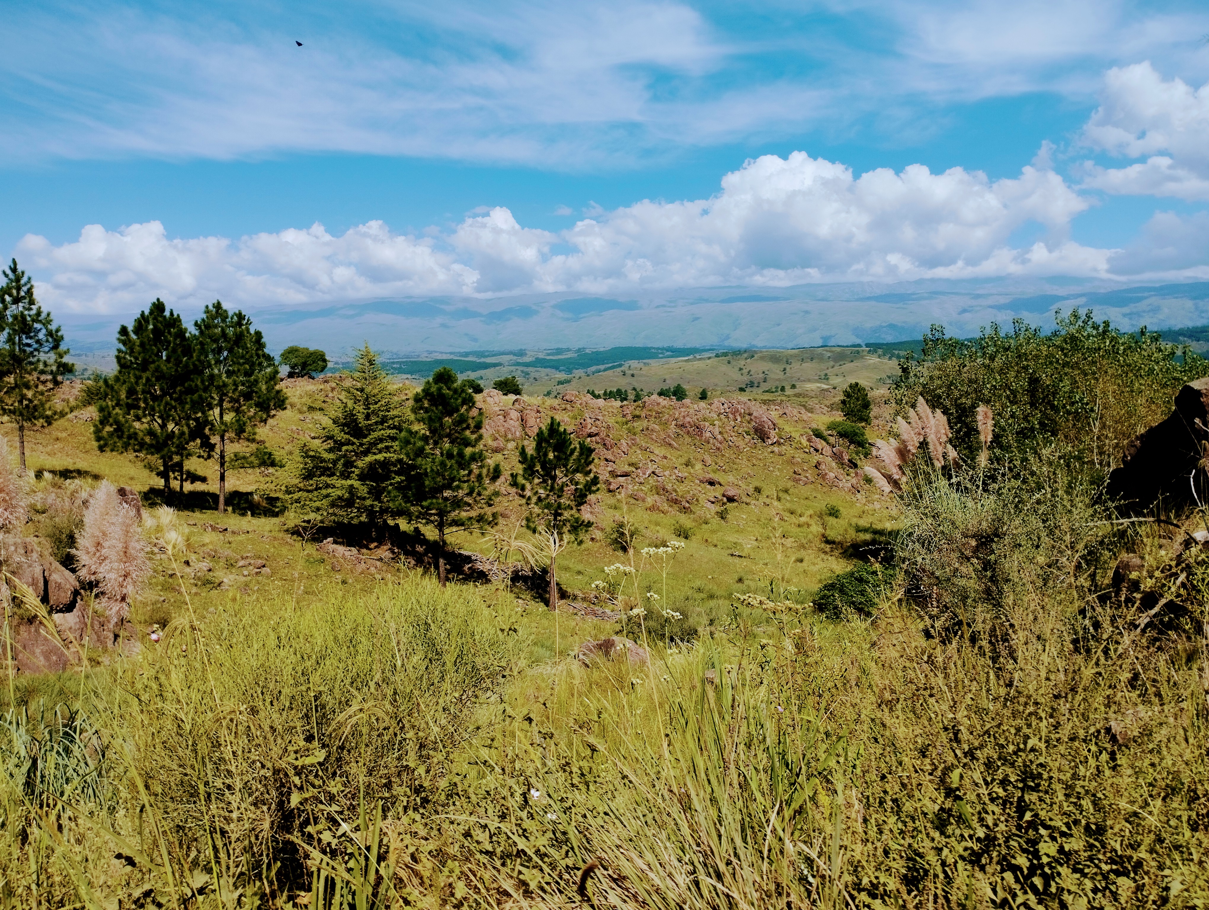 Campo · Estancia